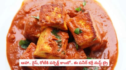 ఆహా.. రైస్, రోటీకి పర్ఫెక్ట్ కాంబో.. ఈ పనీర్ కర్రీ మస్ట్ ట్రై