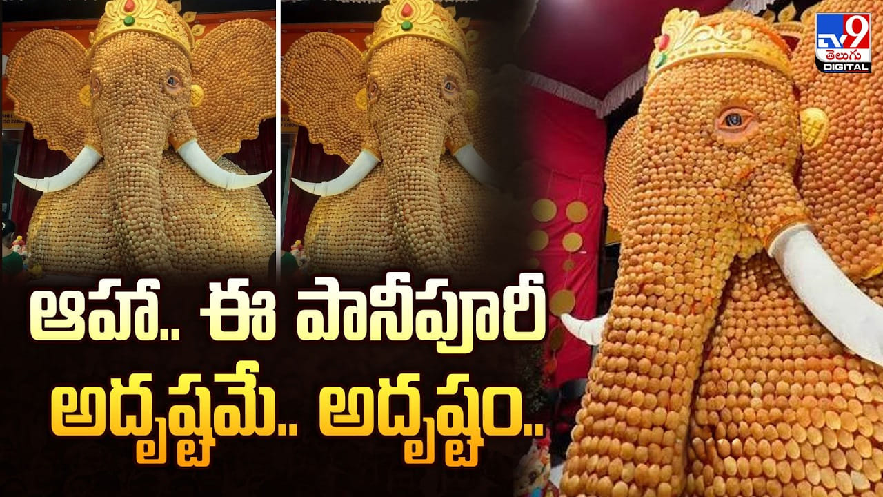 పులసలకు మించి క్రేజ్‌.. ఈ రొయ్యల సొంతం!