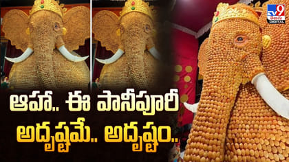 పులసలకు మించి క్రేజ్‌.. ఈ రొయ్యల సొంతం!