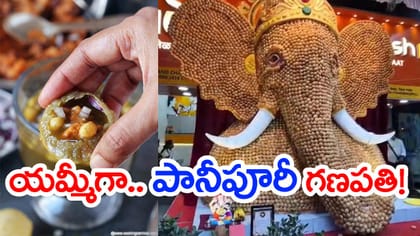 21 వేల పానీపూరీలతో 13అడుగుల వినూత్న వినాయక విగ్రహం.. వీడియో వైరల్