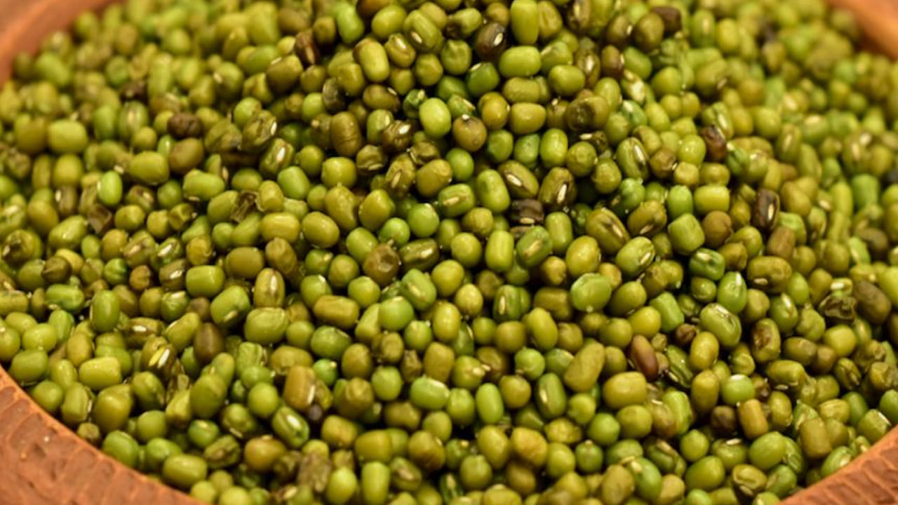 Pesarlu 2