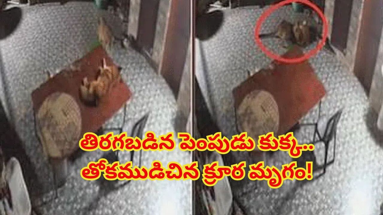 Telugu News Headlines | Nimisham