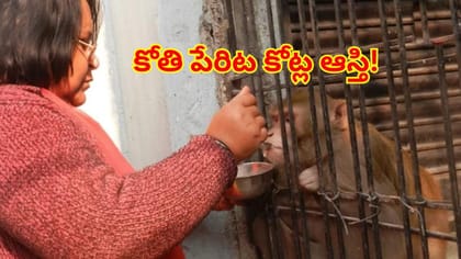 రూ.500కి ఇంటికొచ్చిన కోతి.. ఇప్పుడు కోట్ల ఆస్తికి వారసురాలు!
