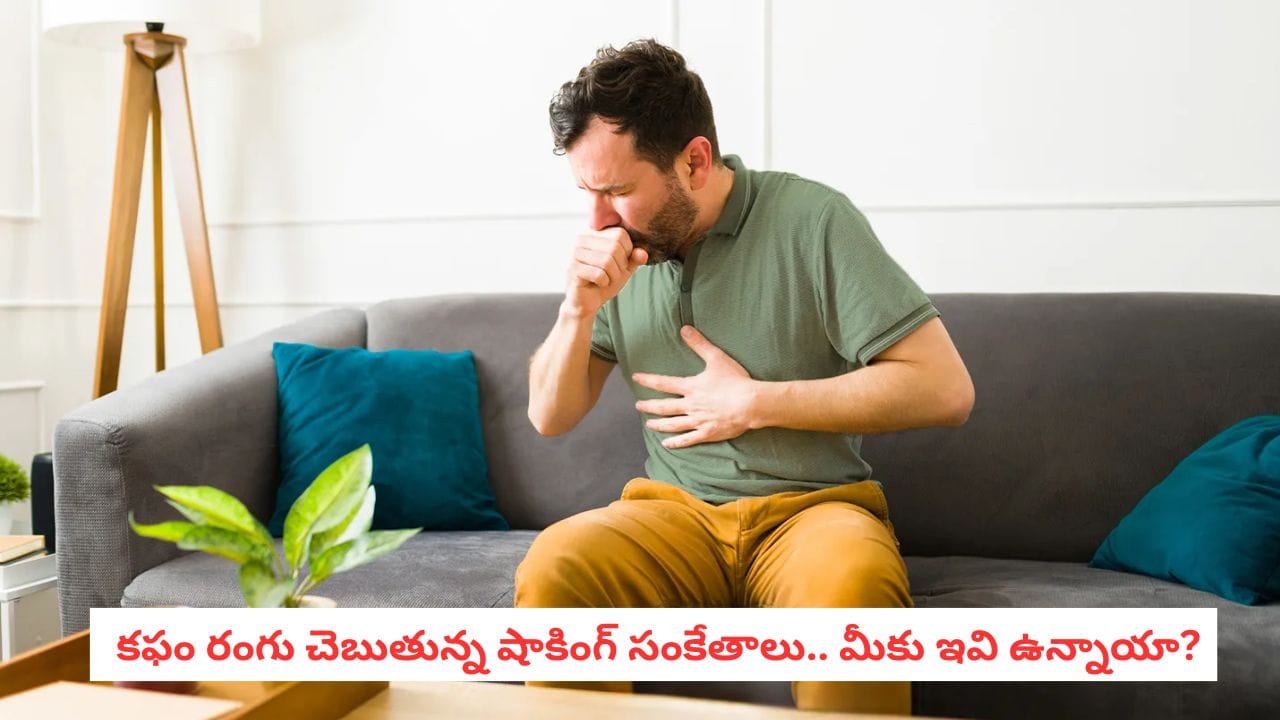 Cough Symptoms: దగ్గు సాధారణమే అనుకుంటున్నారా? కఫం రంగు అసలు విషయం చెబుతుంది!