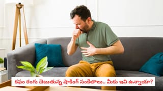 Cough Symptoms: దగ్గు సాధారణమే అనుకుంటున్నారా? కఫం రంగు అసలు విషయం చెబుతుంది!