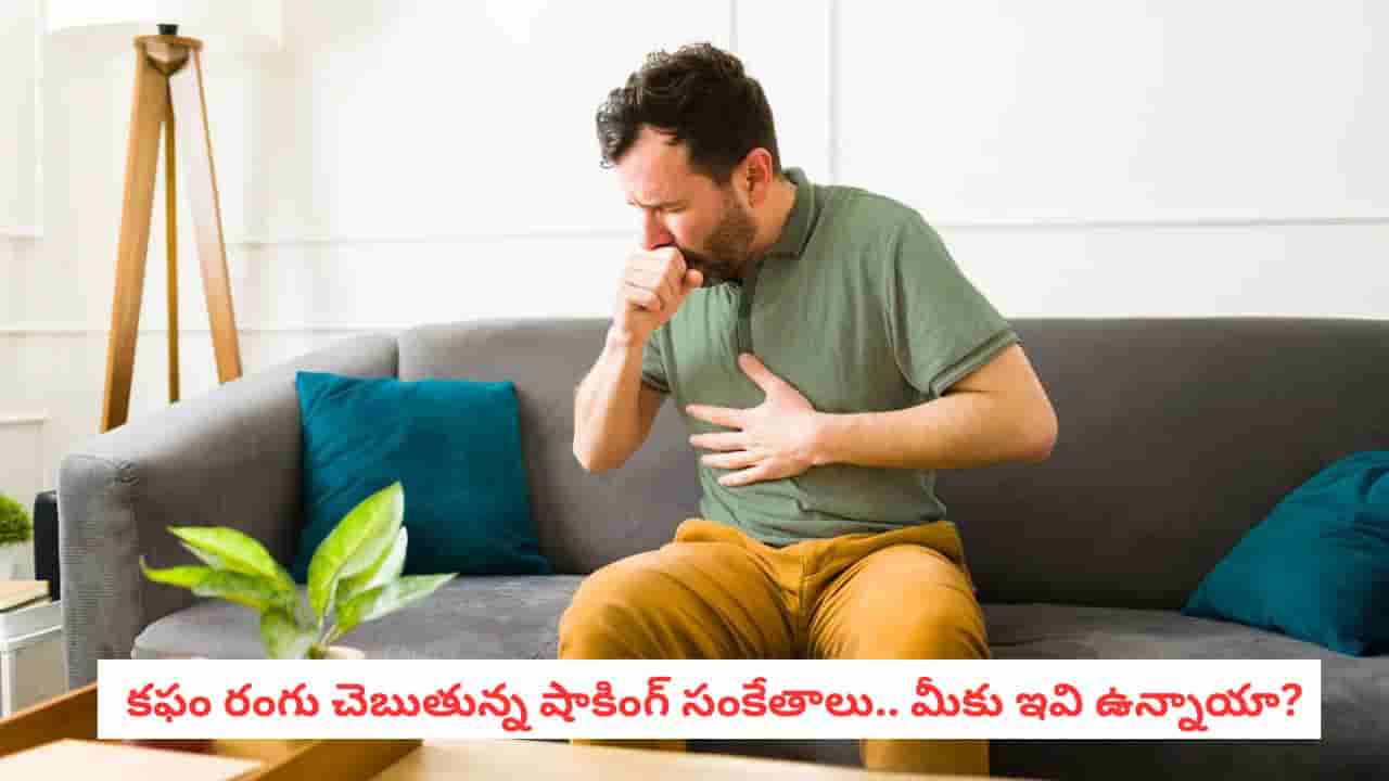 Cough Symptoms: దగ్గు సాధారణమే అనుకుంటున్నారా? కఫం రంగు అసలు విషయం చెబుతుంది!