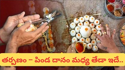 పితృ పక్షం.. తర్పణం, పిండ దానం ఒకటేనా? రెండింటి మధ్య తేడా ఇదే!