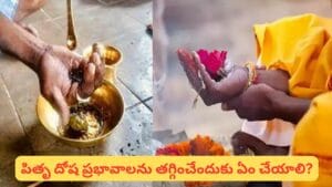 Pitru Dosham: జాతకంలో పితృ దోషం ఉందా? ఈ లక్షణాలు తెలుసుకోండి..