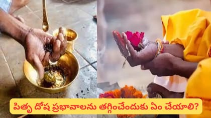 Pitru Dosham: జాతకంలో పితృ దోషం ఉందా? ఈ లక్షణాలు తెలుసుకోండి..