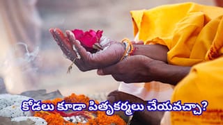 Garuda Purana: కుమారుడు లేకపోతే శ్రాద్ధం ఎవరు చేయాలి? గరుడ పురాణంలో ఏం చెప్పారు?