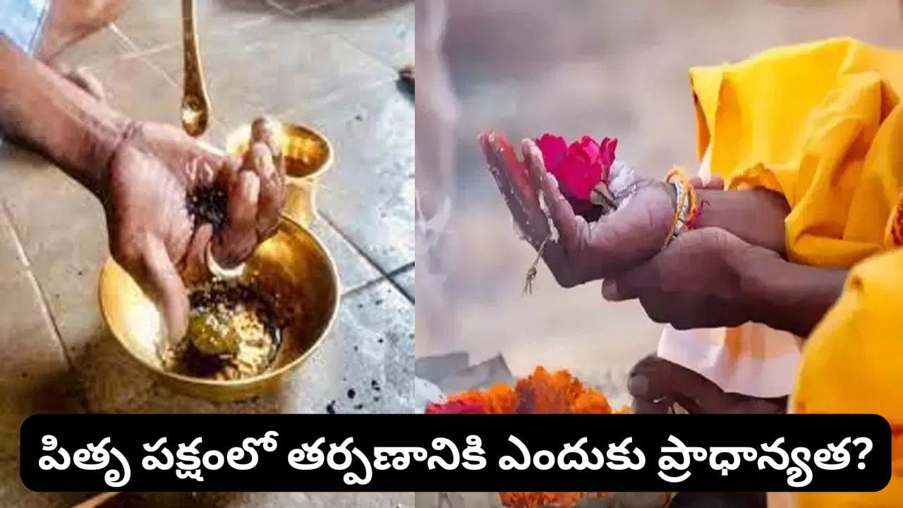 పితృ తర్పణంలో బొటనవేలు దగ్గర నుంచే నీరు ఎందుకు వదులుతారు? అసలు కారణం ఇదే!