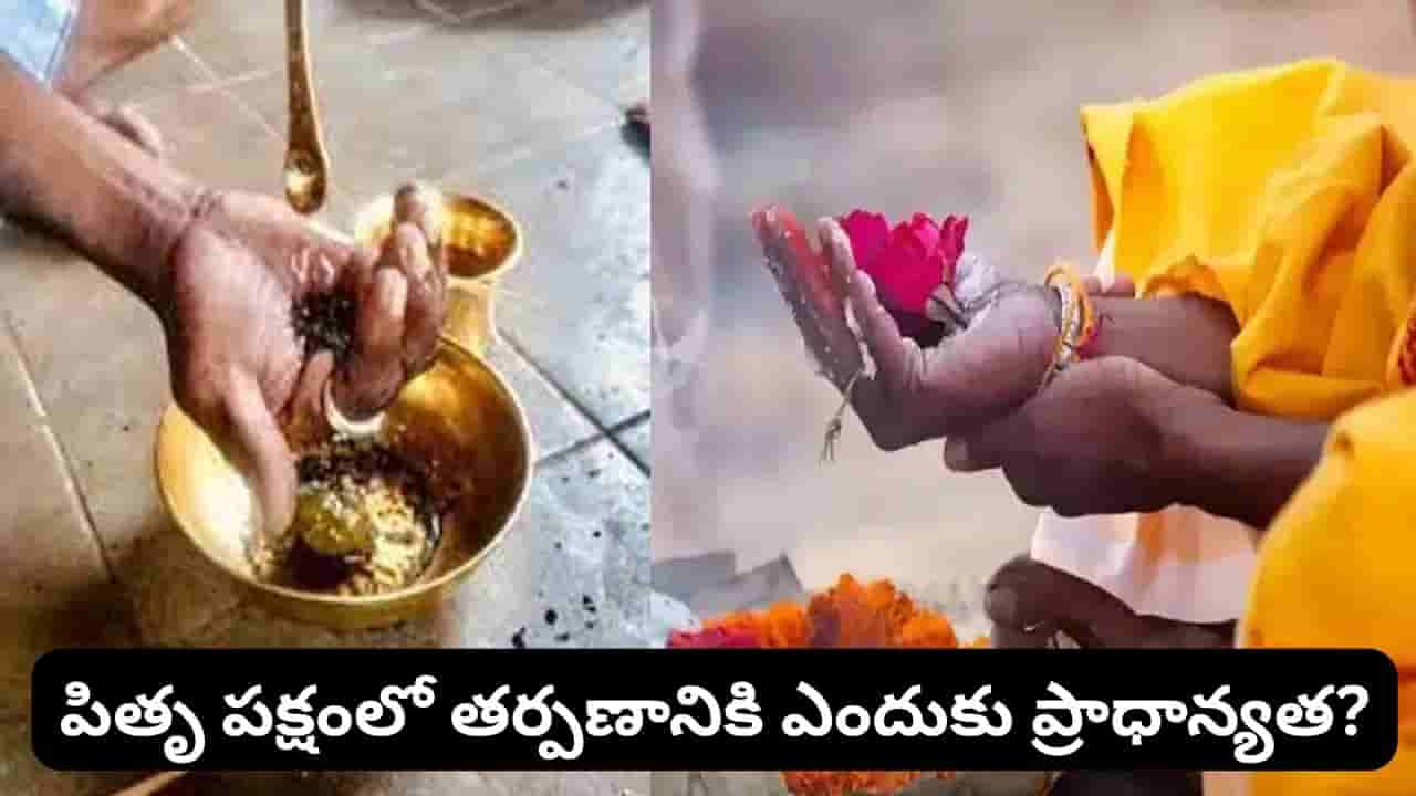 పితృ తర్పణంలో బొటనవేలు దగ్గర నుంచే నీరు ఎందుకు వదులుతారు? అసలు కారణం ఇదే!