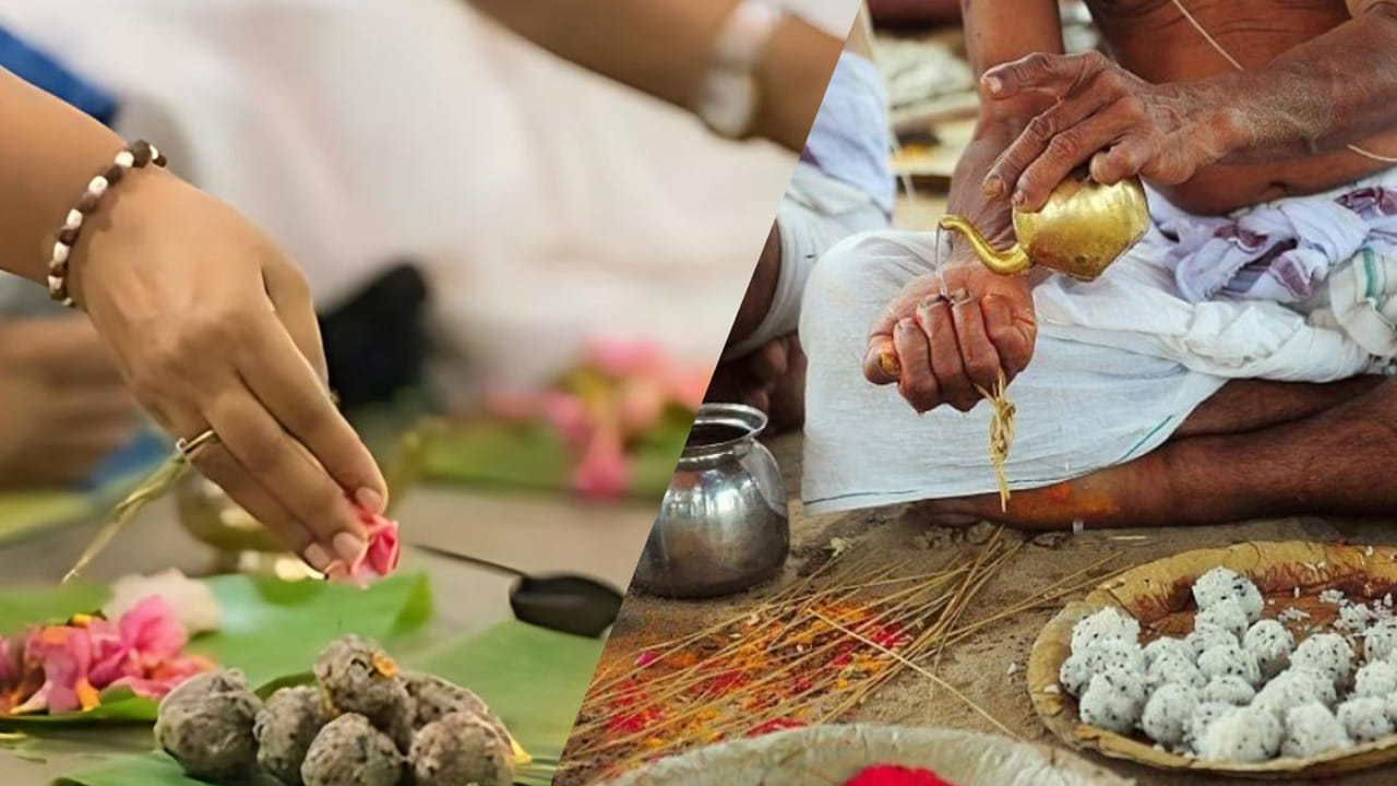 ఈ సమయంలో సంప్రదాయ పద్ధతిలో పూర్వీకులకు తర్పణాలు చేయడం చాలా మంచిది. అంతే కాకుండా కుటుంబాల చరిత్ర, ఆచారాల ప్రకారం శ్రాద్ధం , పిండ ప్రధానం చేయాలి. అంతే కాకుండా ఈ పవిత్ర సమయంలో అన్నదానం చేయడం వలన కూడా మేలు జరుగుతుందంట. ముఖ్యంగా ఆచారాల్లో భాగంగా, బ్రాహ్మణులకు అన్నదానం చేయడం, జంతువులకు, పక్షులకు ఆహారాలు సమర్పించడం చాలా మంచిదంట.
