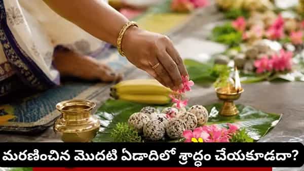 Pitru Paksha: పితృ పక్షంలో ఈ రోజుల్లో శ్రాద్ధం చేయకూడదట.. ఈ నియమాలు తప్పక తెలుసుకోండి!