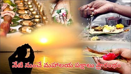 మహాలయ పక్షంలో ఈ పని తప్పక చేయాలట.. పితృదేవతల ఆశీర్వాదం కోసం..