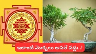 Vastu Tips: ఇంట్లో ఈ మొక్కలు అస్సలు పెట్టకండి.. కుటుంబంలో కలహాలు, ఆర్థిక సమస్యలు వస్తాయట!