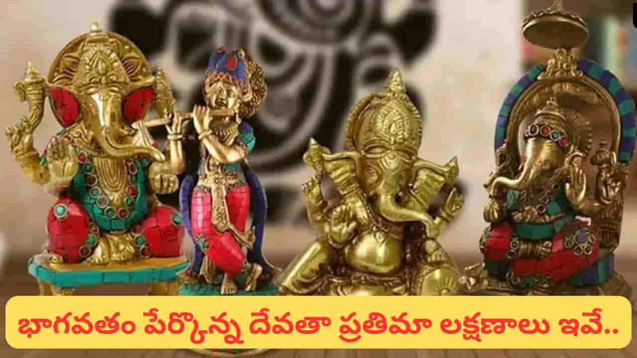 Plastic Idols Worship: ప్లాస్టిక్ దేవతా విగ్రహాలను పూజించవచ్చా..? శాస్త్రాల్లో అసలు ఏం ఉంది?