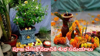 పోలాల అమావాస్య ఎప్పుడు..? సంతానం, సౌభాగ్యం కోసం పాటించాల్సిన..