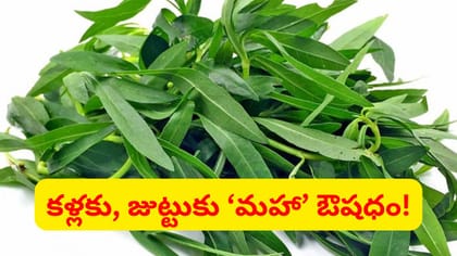ఖర్చు లేని మహా ఔషధం! మసకగా కనిపించే కళ్లు కూడా మునపటిలా మారుతాయ్