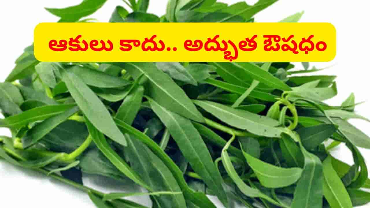ప్రకృతి ప్రసాదం.. మసకగా కనిపించే కళ్లు కూడా చురకత్తిలా మారుతాయ్.. పురుషులకైతే వరమే..