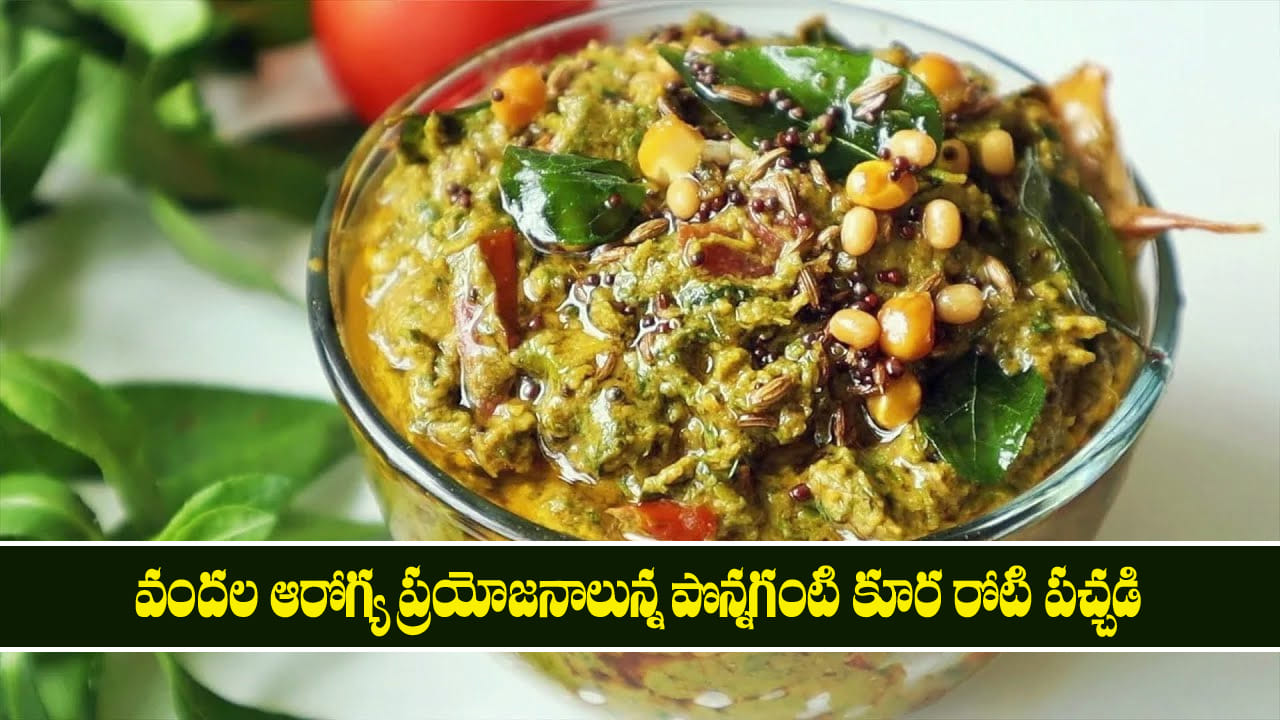 వందల ఆరోగ్య ప్రయోజనాలున్న పొన్నగంటి కూర రోటి పచ్చడి.. బరువు తగ్గడానికి దివ్యౌషధం