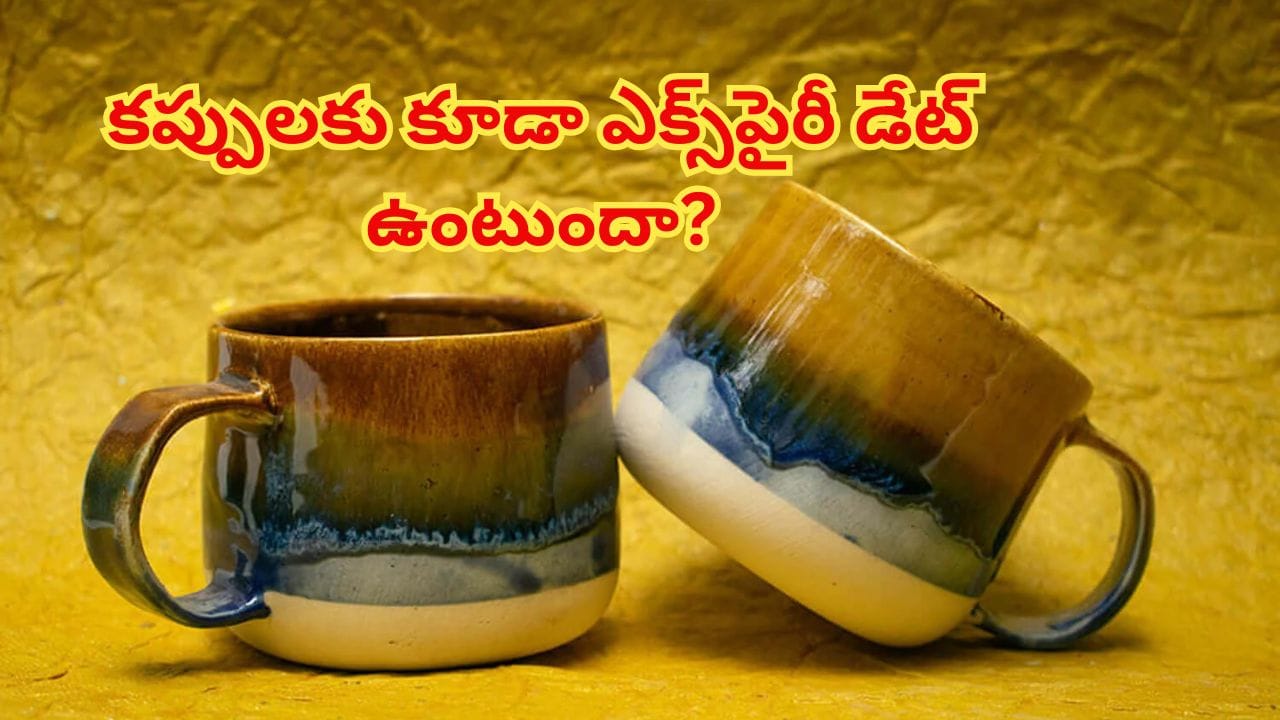 మనం టీ, కాఫీలు తాగే సిరామిక్ కప్పులకు కూడా ఎక్స్‌పైరీ డేట్ ఉంటుందా? నిర్లక్ష్యం చేస్తే తీవ్ర అనారోగ్యం!