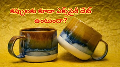 మనం టీ,కాఫీలు తాగే సిరామిక్ కప్పులకు కూడా ఎక్స్‌పైరీ డేట్ ఉంటుందా