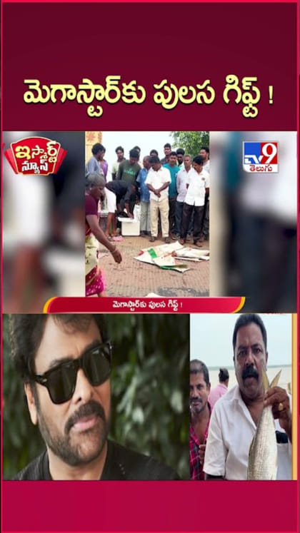 Pulasa Fish: మెగాస్టార్ చిరంజీవికి పులస చేప గిఫ్ట్!