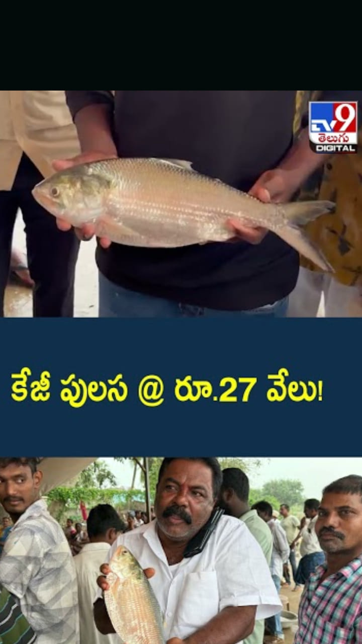Pulasa Fish: పులస చేప.. రికార్డు ధర..కేజీ ఎంతంటే..?