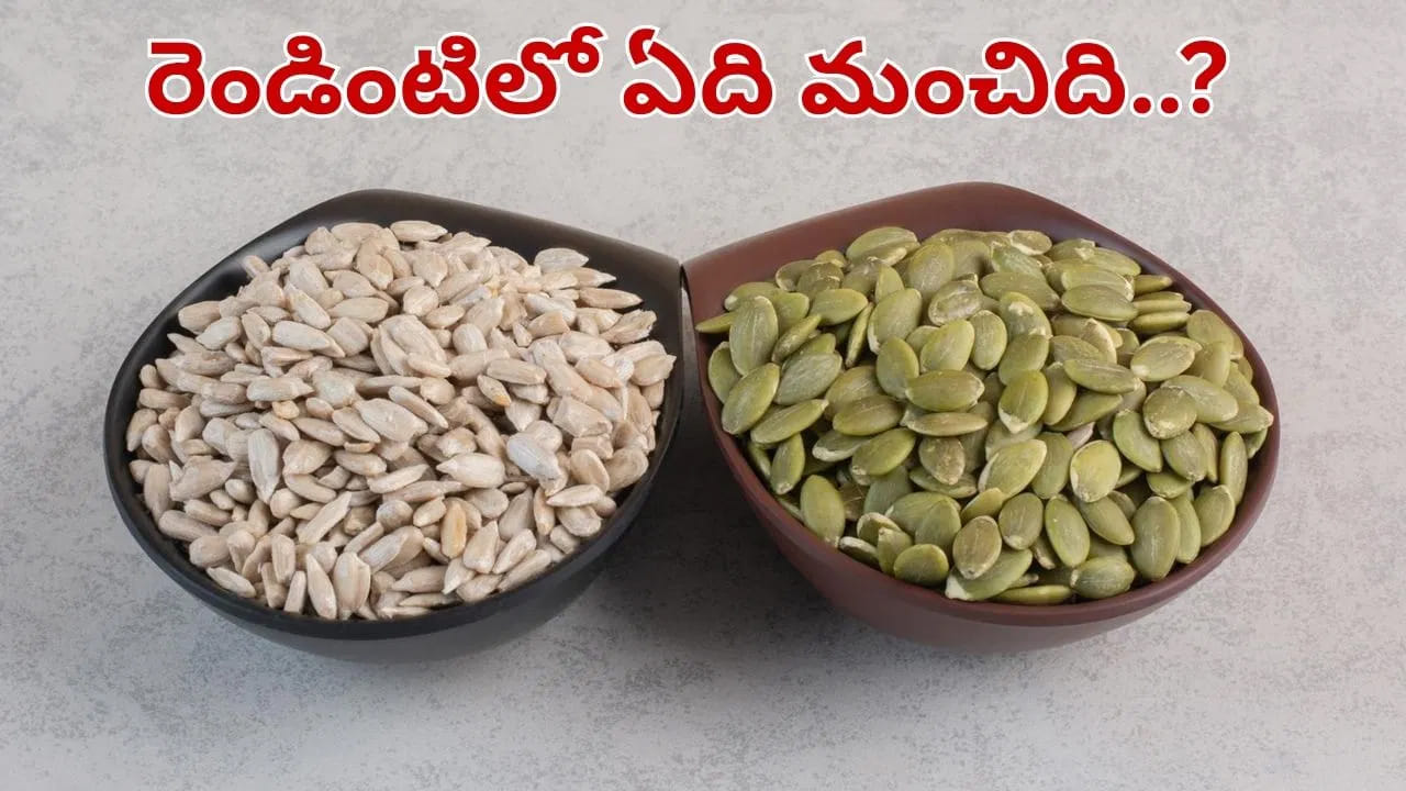 గుమ్మడి గింజలు vs సన్‌ఫ్లవర్ గింజలు.. ఆరోగ్యానికి ఏవి బెస్ట్..? అసలు తేడా ఏంటో తెలుసుకోండి..