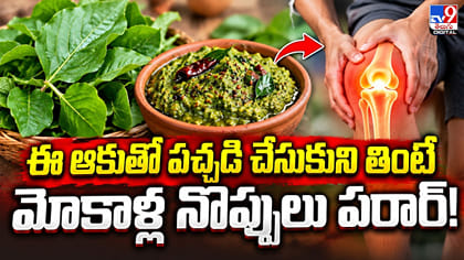 ఈ ఆకుతో పచ్చడి చేసుకుని తింటే మోకాళ్ల నొప్పులు పరార్!
