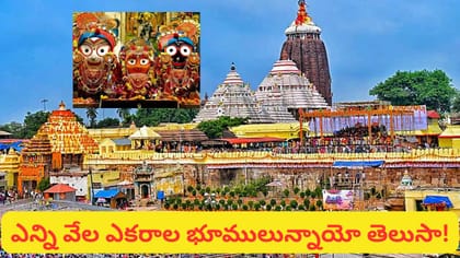 జగన్నాథుడి సంపద ఎంతో తెలుసా? బ్యాంకుల్లో ఎన్ని కోట్లు.. ఎన్ని..