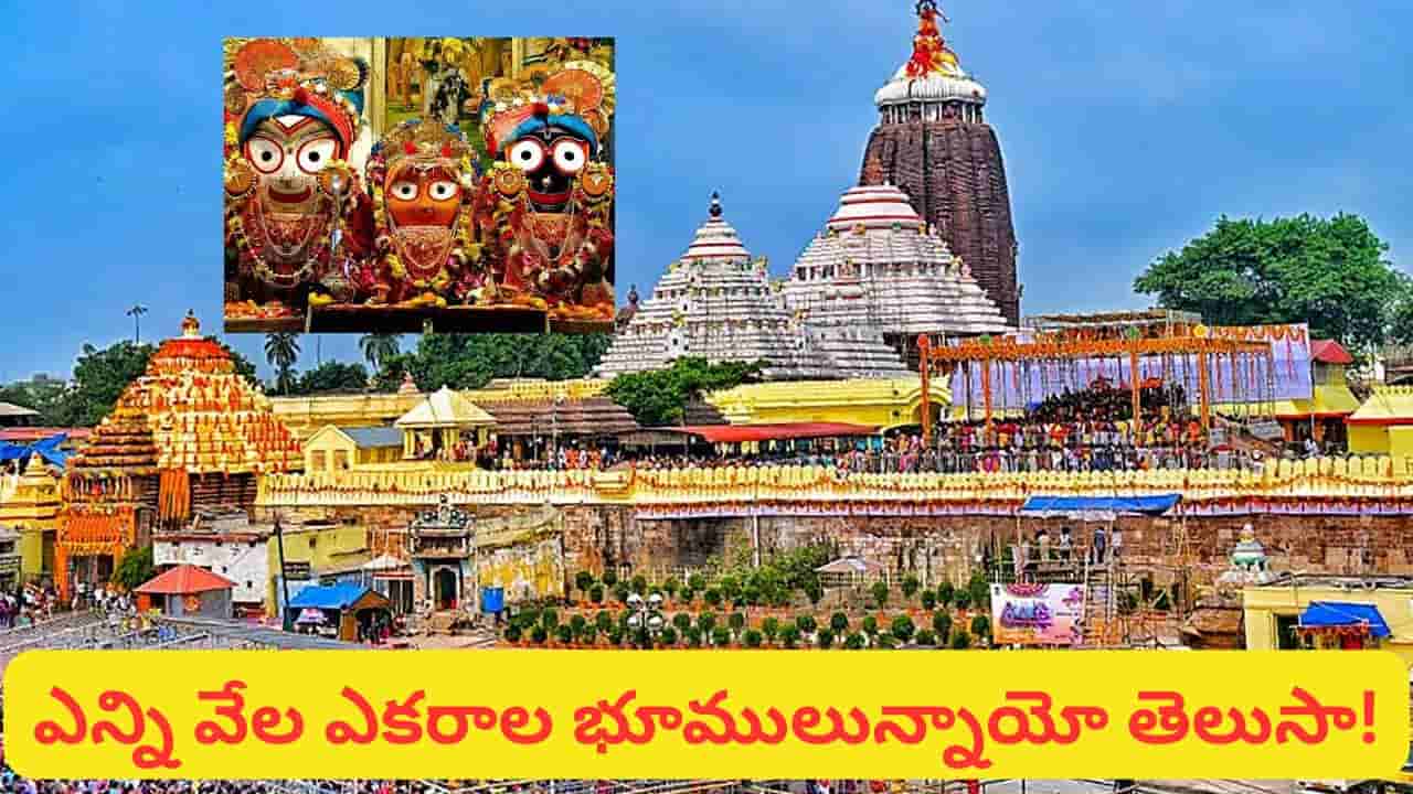 జగన్నాథుడి సంపద ఎంతో తెలుసా? బ్యాంకుల్లో ఎన్ని కోట్లు.. ఎన్ని వేల ఎకరాల భూములు ఉన్నాయో తెలుసా?