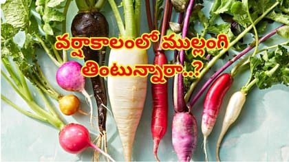 వర్షాకాలంలో ముల్లంగి తింటున్నారా..? ఆరోగ్య నిపుణులు ఏమంటున్నారంటే