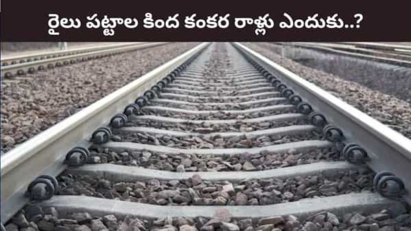 రైలు పట్టాల కింద కంకర రాళ్లు ఎందుకు పోస్తారో తెలుసా? అసలు కారణం ఇదే