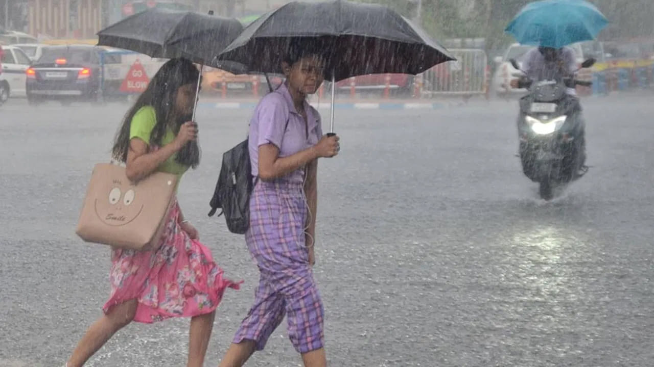 Rains: ఏపీకి భారీ రెయిన్ అలర్ట్.. 16 జిల్లాలకు ఎల్లో హెచ్చరిక.. వాతావరణశాఖ అప్డేట్ ఇదే..