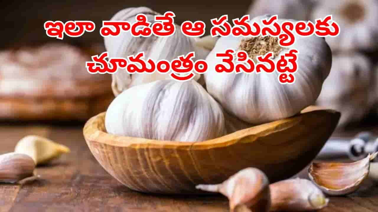 Garlic Benefits: 4 సమస్యలకు ఒకే ఔషదం.. వెల్లుల్లిని ఇలా వాడితేనే వరం.. లేదంటే విషం!