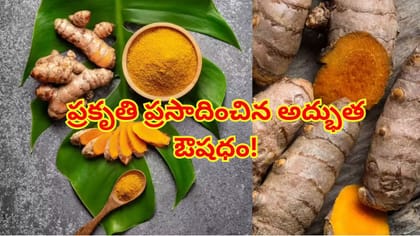 కోట్లు ఖర్చు పెట్టినా నయం కాని వ్యాధులకు రామబాణం..ప్రకృతి ప్రసాదం