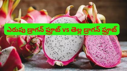 ఎరుపు డ్రాగన్ ఫ్రూట్ vs తెల్ల డ్రాగన్ ఫ్రూట్,ఏది ఆరోగ్యానికి మేలు