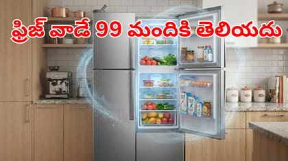 ఫ్రిజ్‌ను ఎవరు, ఎప్పుడు కనిపెట్టారు.. 99 మందకి తెలియని సీక్రెట్