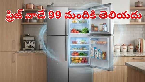 Tech News: ఫ్రిజ్ను ఎవరు, ఎప్పుడు కనిపెట్టారు.. కూలింగ్ ప్రక్రియ ఎలా జరుగుతోందో తెలుసా!