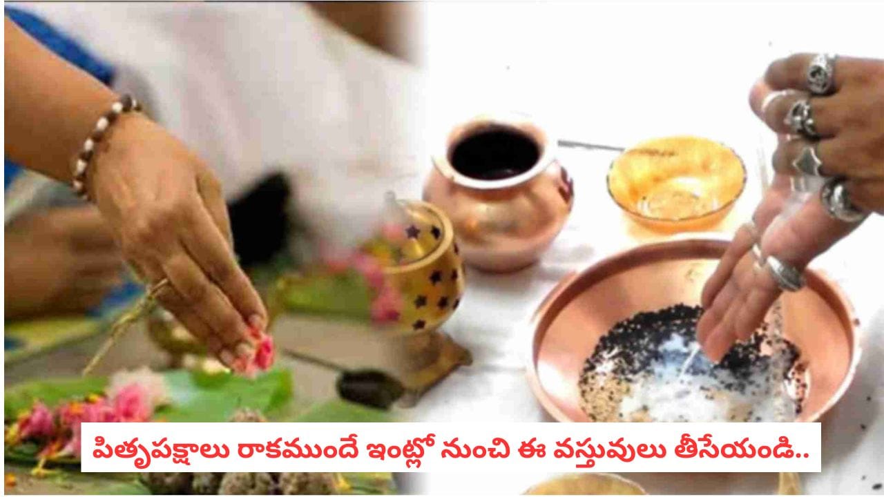 Pitru Paksha 2026: పితృ పక్షాలు రాకముందే ఈ వస్తువులను ఇంట్లో నుంచి పంపించేయండి..