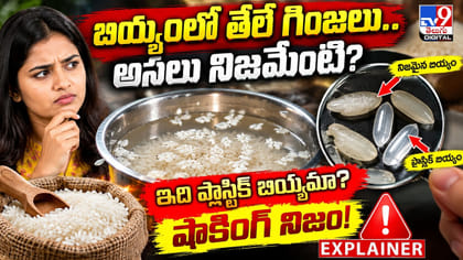 బియ్యంలో తేలే గింజలు.. అసలు నిజమేంటి?