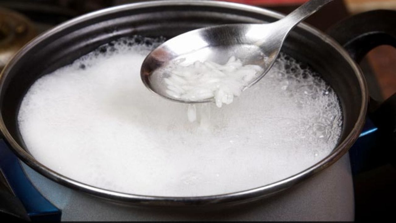Rice Water Skincare (3)