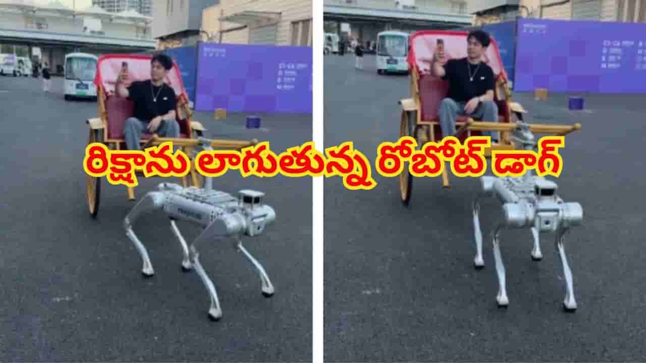 రద్దీ రోడ్లపై వింత దృశ్యం.. గుర్రం కాదు, మనిషి కాదు... రిక్షాను లాగుతున్న రోబోట్ డాగ్!