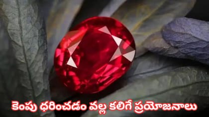 కెంపు రత్నం ఎవరికి శుభం? ఎవరికి అశుభం? ఏ వేలికి, ఏ రోజు ధరించాలి?