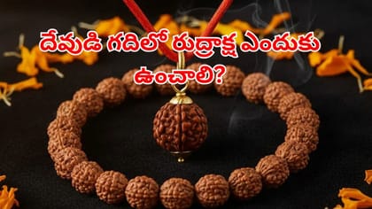 ఇంట్లో రుద్రాక్ష ఉంచితే వాస్తు దోషాలు మాయం! అదృష్టం, శాంతి కోసం