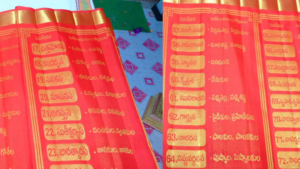 ఈ అపూర్వ పట్టుచీరలో 102 మంది ఋషుల పేర్లు, 102 గోత్రనామాలు, వాసవి కన్యకా పరమేశ్వరి అమ్మవారి దివ్య చరిత్రకు సంబంధించిన 25 చారిత్రక చిత్రాలను చేనేత మగ్గంపై నేశారు. ఒక్కో అక్షరం, ఒక్కో గోత్రనామం, ఒక్కో చారిత్రక చిత్రాన్ని అత్యంత సూక్ష్మంగా మగ్గంపై పొందుపరచడం ద్వారా తన అసాధారణ చేనేత నైపుణ్యాన్ని హరి ప్రసాద్ మరోసారి చాటుకున్నారు.
