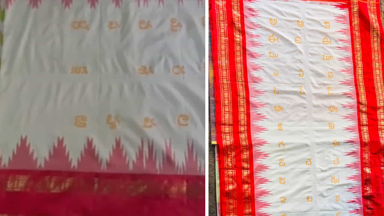తెలుగు అక్షరమాలతో రూపొందించిన ఈ ప్రత్యేకమైన పట్టు చీరను నిర్మల్ జిల్లా బాసరలోని శ్రీ జ్ఞాన సరస్వతి అమ్మవారి ఆలయానికి తీసుకెళ్లారు. అమ్మవారి ఆలయంలో ప్రత్యేక పూజలు నిర్వహించిన అనంతరం ఆలయ ఈవో, వేద పండితుల సమక్షంలో చీరను సరస్వతి అమ్మవారికి సమర్పించారు. విద్య, జ్ఞానానికి ప్రతీకగా భావించే సరస్వతి అమ్మవారికి.. అక్షరాలతోనే రూపొందించిన పట్టు చీరను సమర్పించడం మరింత ప్రత్యేకతను సంతరించుకుంది. తెలుగు అక్షరాలతో తయారు చేసిన చీరను అమ్మవారికి సమర్పించడం పట్ల భక్తులు, భాషాభిమానులు సంతోషం వ్యక్తం చేశారు.