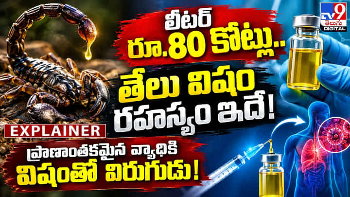 లీటర్కు రూ.80 కోట్లు.. తేలు విషం రహస్యం ఇదే! లీటర్కు రూ.80 కోట్లు.. తేలు విషం రహస్యం ఇదే!